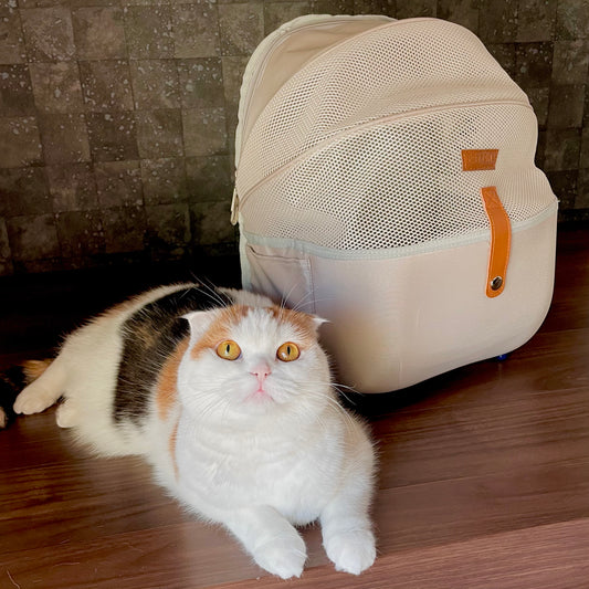 Pet backpack - go out with your pet